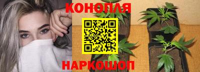 МДПВ Тара