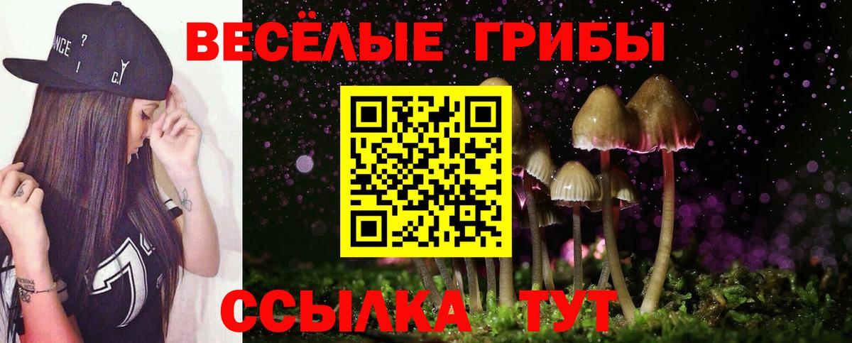 Новоалександровск  Галлюциногенные грибы MAGIC MUSHROOMS  Вход с VPN 