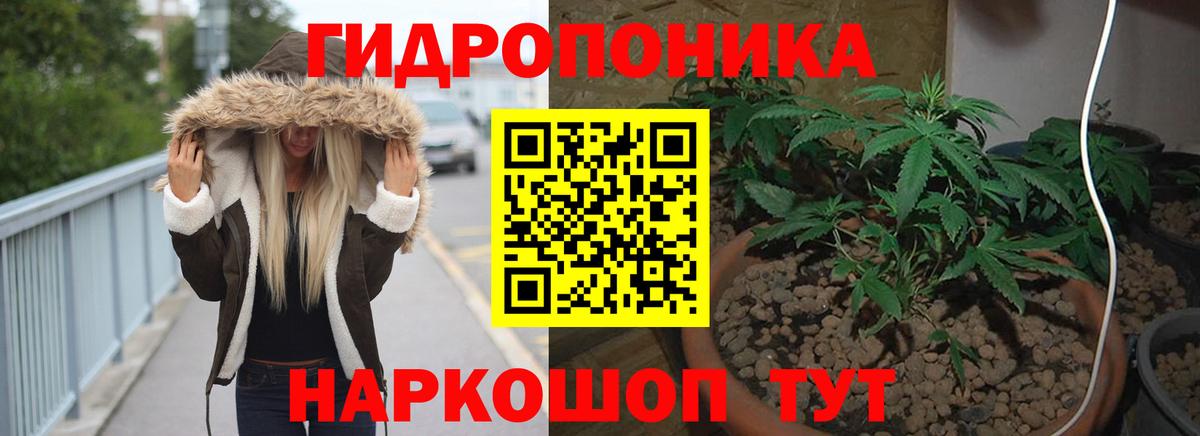 Конопля индика Новоалександровск